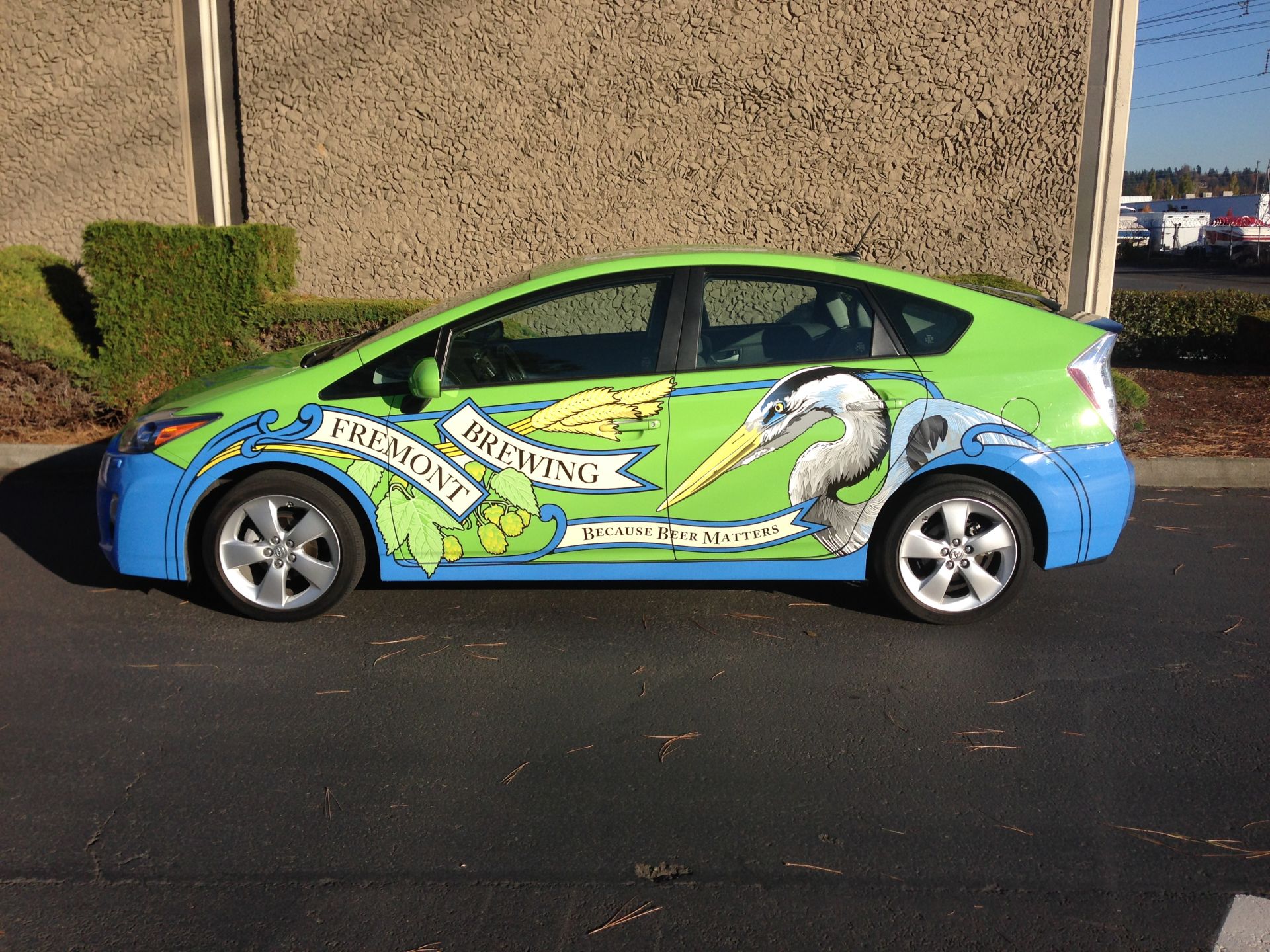 Car Wraps Designer Decal